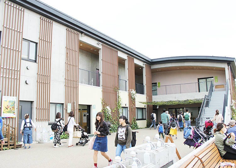 Located at Children’ Zoo STEP in the Main Building.