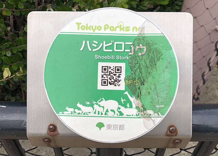 You can scan the QR code located in the corners of the animal exhibitions for more detailed information on the animals.