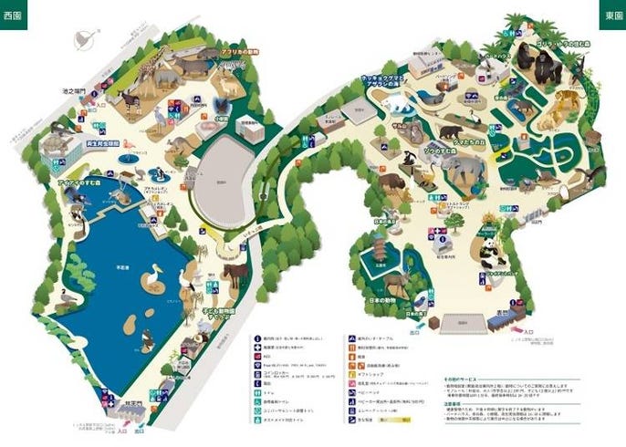 上野動物園の見どころ パンダ以外もある おすすめグルメ お土産 便利情報を徹底ガイド Live Japan 日本の旅行 観光 体験ガイド