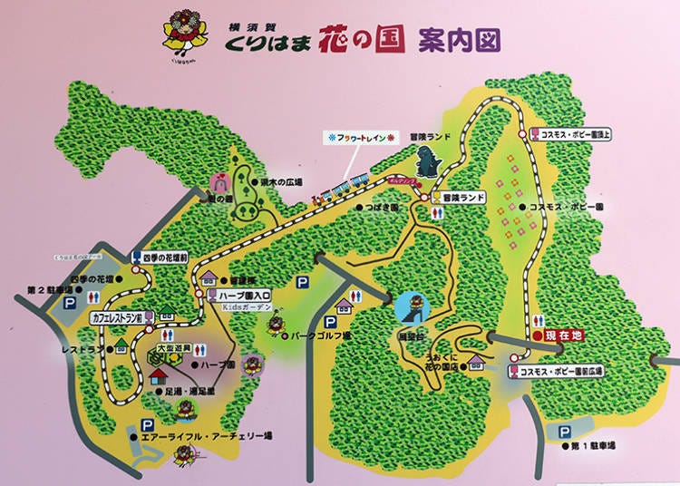 What is Kurihama Flower Park?