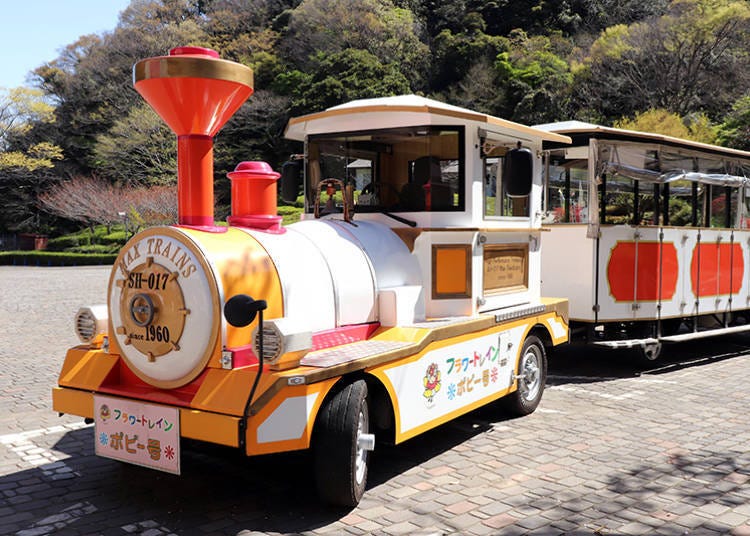 The Flower Train is a convenient way to get around inside Kurihama Flower Park