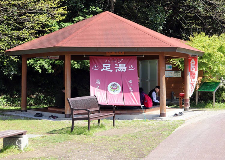 Take a break at the herbal foot bath, Yuttari