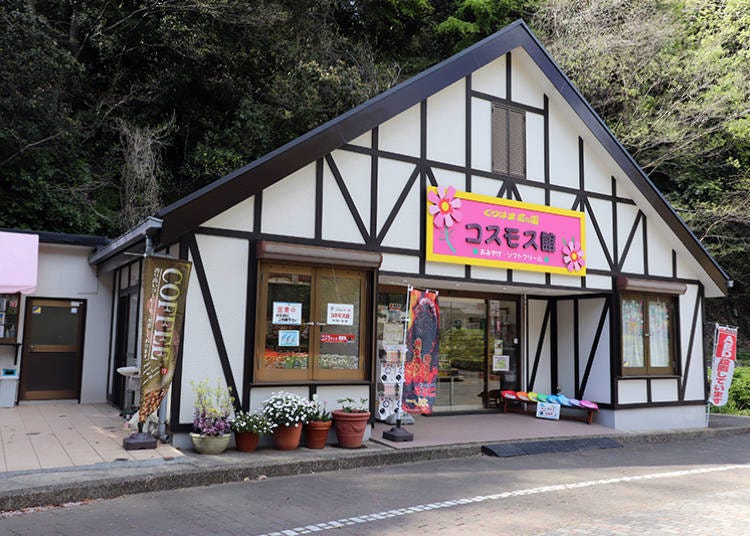 Commemorate your visit to Kurihama Flower Park with a souvenir from the Cosmos House