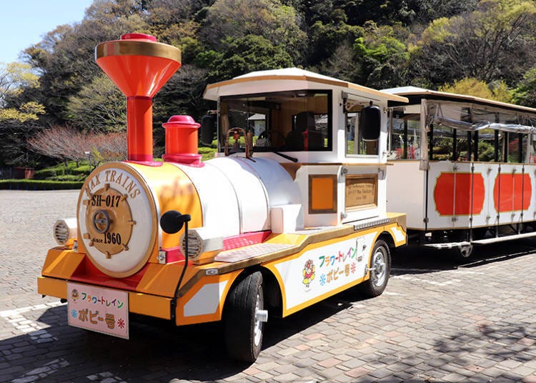在久里濱花之國內的移動方式－園內巡迴巴士「Flower Line」