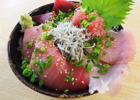 Enjoy Sightseeing and Seafood with the Misaki Maguro Day Trip Ticket