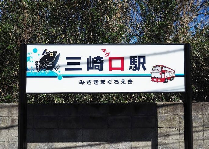 みさきまぐろきっぷ の1日おすすめ活用術 海鮮グルメも癒しスポットも楽しむコスパ最強プラン Live Japan 日本の旅行 観光 体験ガイド