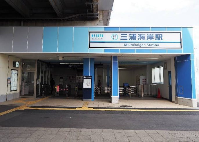 みさきまぐろきっぷ の1日おすすめ活用術 海鮮グルメも癒しスポットも楽しむコスパ最強プラン Live Japan 日本の旅行 観光 体験ガイド