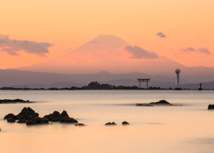 使用「Hayama Excursion Ticket」推薦觀光景點