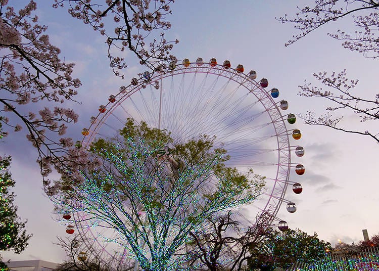 4. The Giant Ferris Wheel – Because there's never enough cherry blossoms from above!