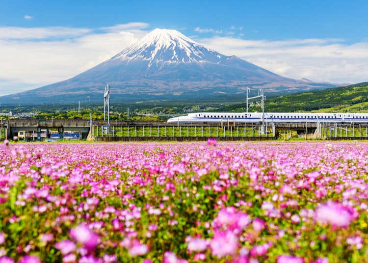 Top 10 Things to Do in Japan in May 2021 | LIVE JAPAN travel
