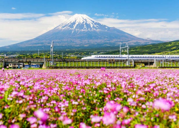 Top 10 Things to Do in Japan in May 2023