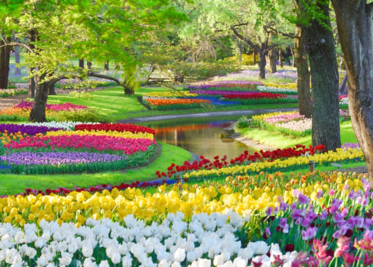 1. Snap photos and enjoy the scenery at parks and flower gardens