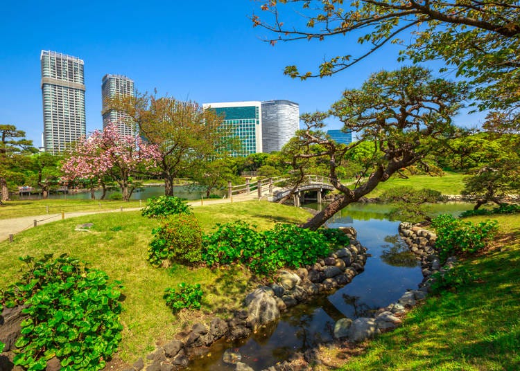 13. Japanese Gardens: Beauty that is subtle yet splendid