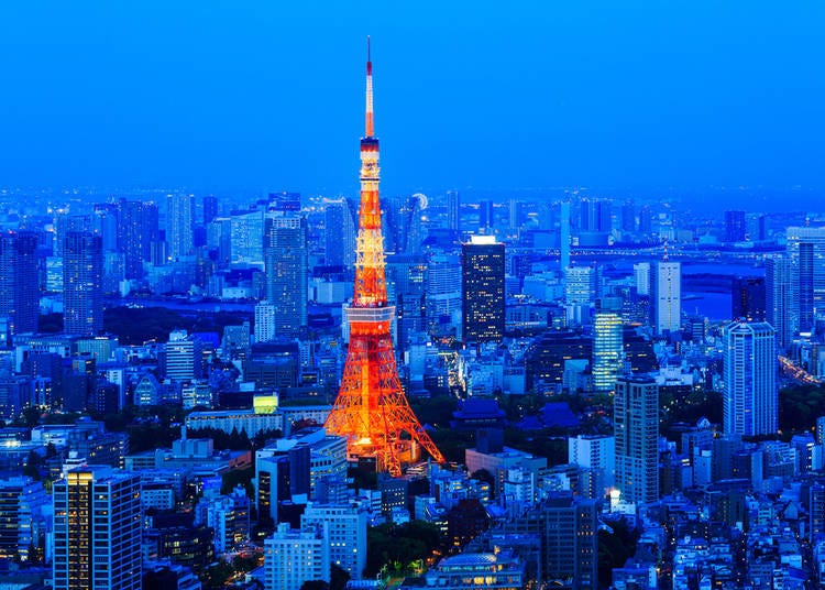 3. Tokyo Skyline: Taking in Tokyo's landscape from above