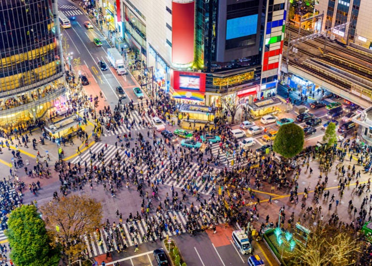 Shibuya At A Glance