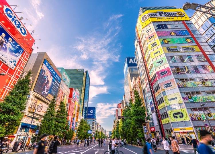 Your Trip to Akihabara: The Complete Guide (Activities, Hotels, Savers &  More) | LIVE JAPAN travel guide