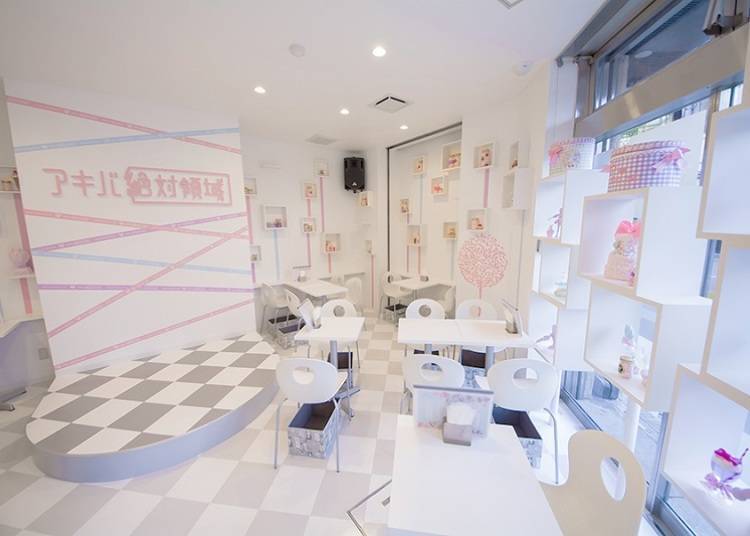 3. Akiba Zettai Ryoiki: Themed maid cafe with a nod to furries