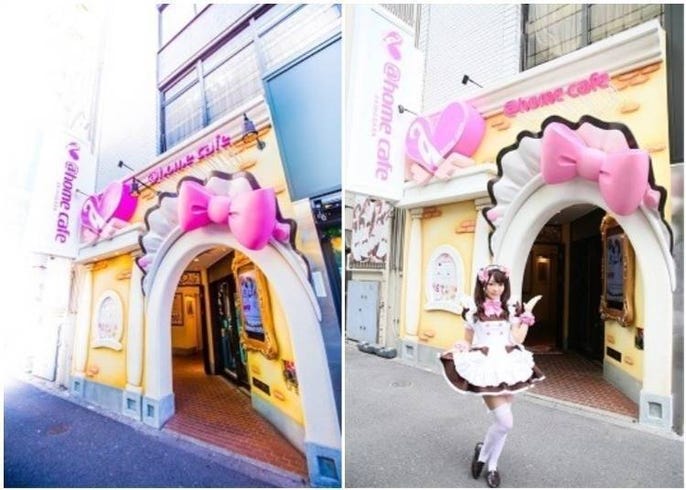 第一次朝圣也很ok 前女仆店店员推荐5间秋叶原萌萌女仆咖啡厅 Live Japan 日本的旅行 旅游 体验向导