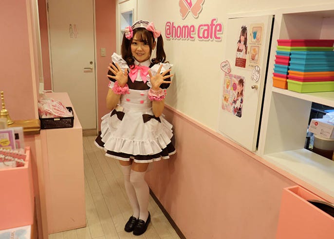 メイドカフェで定番のおまじないセリフやフレーズは ゼロから分かる メイドカフェの楽しみ方 講座 Live Japan 日本の旅行 観光 体験ガイド