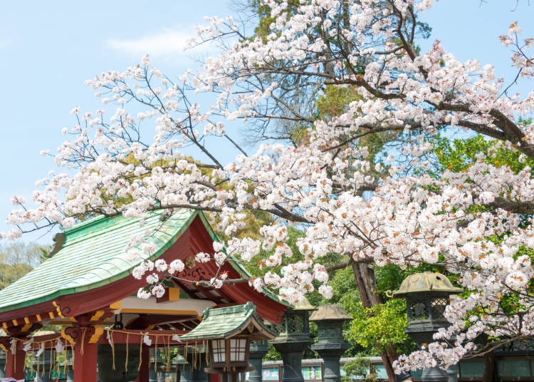 東京穿和服推薦景點②上野：景點豐富，適合家族同樂