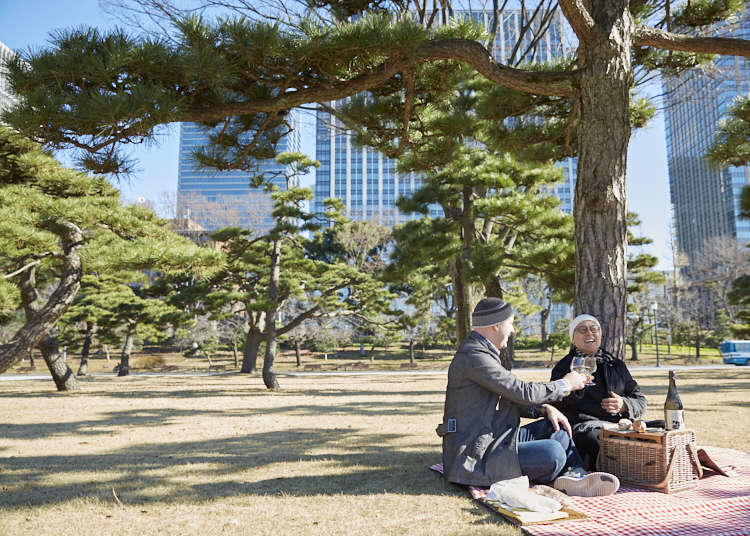 쇼군이 살던 에도성과 황거의 관계, 그리고 마루노우치와 야에스의 역사를 되돌아보다.