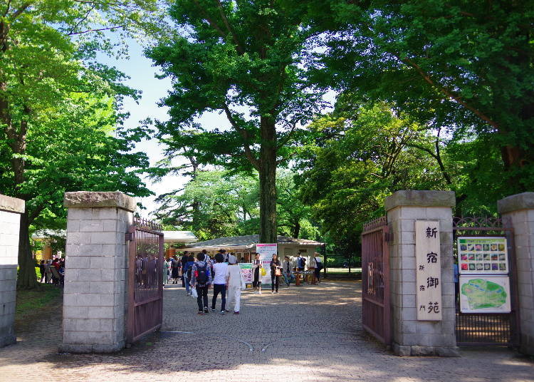 No. 1 Shinjuku Gyoen! Why is this the most popular spot for foreign visitors?