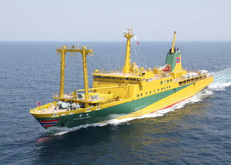 Large Cruise Ship Tachibana-maru