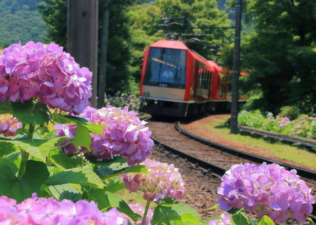 Complete Hakone Area Guide: Onsen Baths, Scenic Lake Scenery & Mount Fuji Views!