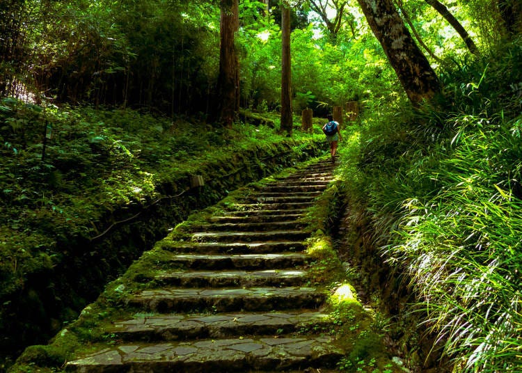 箱根旅遊魅力⑫可以體驗箱根獨有的健行路線、享受大自然美景