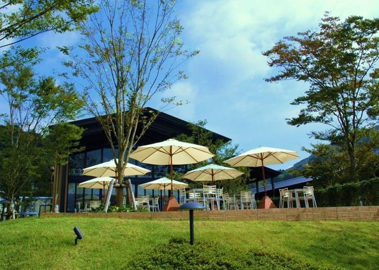 3. La Terrazza Ashinoko: Authentic Italian food with authentic Hakone views