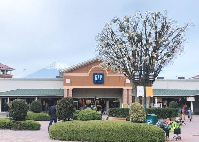 箱根フリーパスはどれだけお得 使い方や箱根 強羅 芦ノ湖旅行を楽しむおすすめルート Live Japan 日本の旅行 観光 体験ガイド