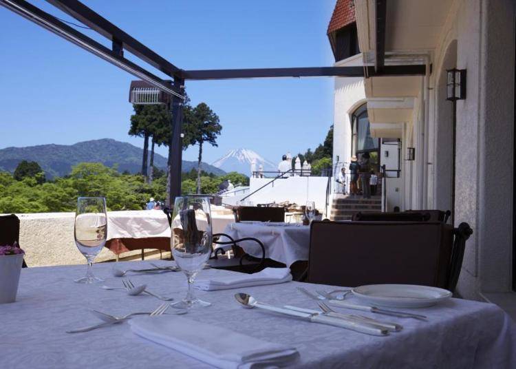 On clear days, you can catch a glimpse of Mount Fuji from the Vert Bois terrace (Photo: Booking.com)