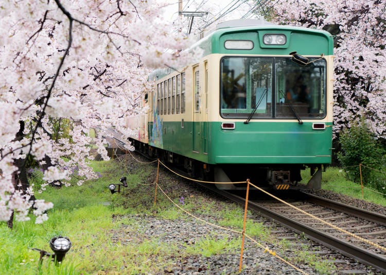 日本常見電車行駛類別