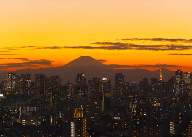 What are Tokyo's Must-See Scenic Spots? Surprising Unusual Spots Chosen by 10 Foreigners