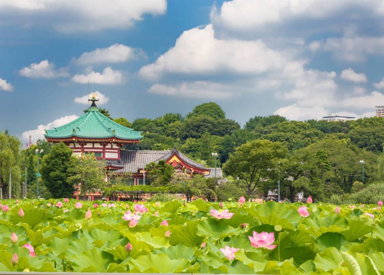 日本東京也有這種絕景？細數令人難忘的東京美點