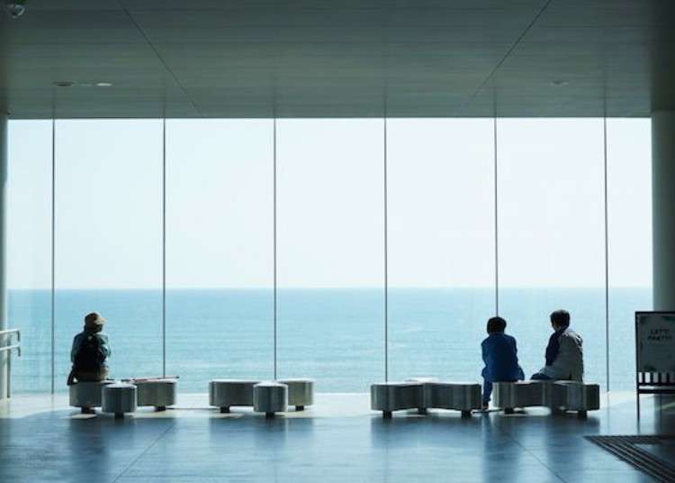 Just 1.5 Hours from Ueno! Stunning Ocean Views at 'Sea Birds Cafe' Next to Hitachi Station