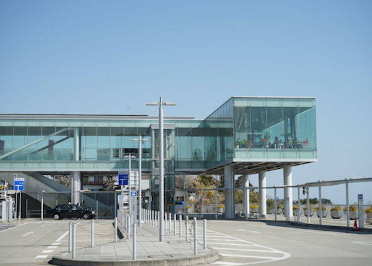 ▲The entire walkway to the café is lined with glass walls.