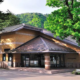 Nikko natural science museum