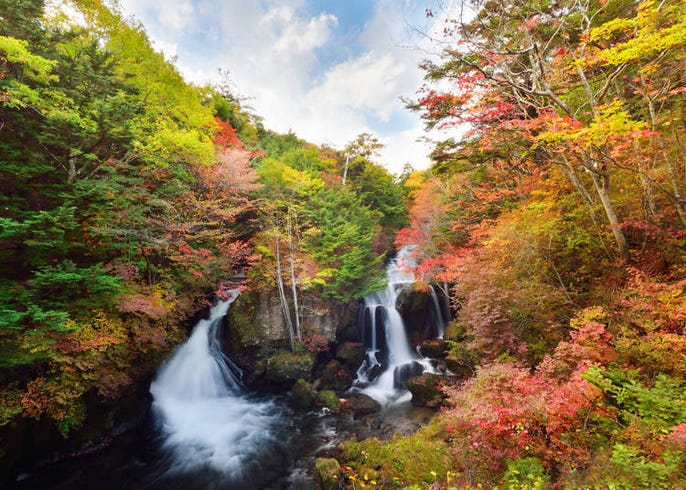 日光哪里好玩 日光全区导览 经典观光景点10选 Live Japan 日本的旅行 旅游 体验向导