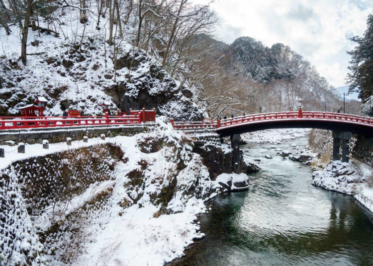 无论是秋日枫红亦或冬季白雪都不能错过！美景伴随四季变换的日光