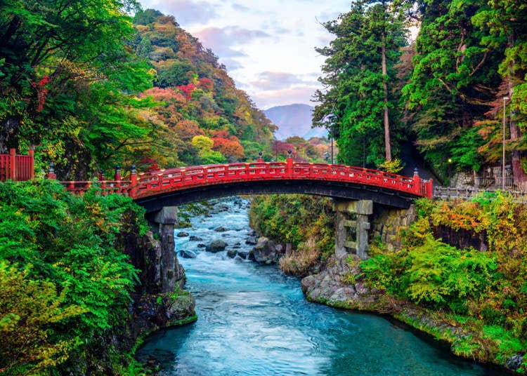 Nikko Japan Guide: Recommended Day-Trip Itinerary and One-Night Stays (+Free Pass Information)