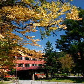 Okunikko Yumoto Onsen Okunikko Konishi Hotel
Tap for details & bookings ▶