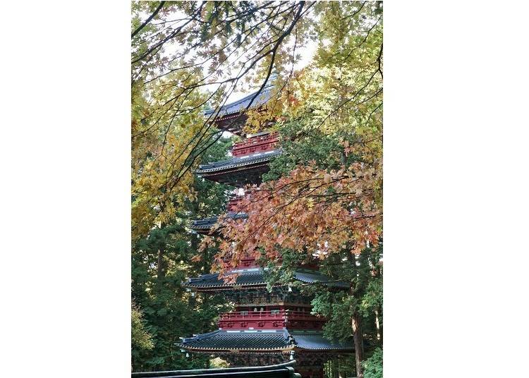 ©日光東照宮