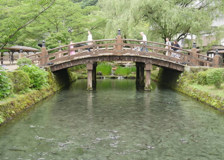 A bridge over the moat, and you can even feed the fish.
