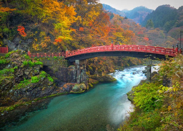 How to Save Money with a NIKKO PASS: Enjoy Budget Sightseeing in Japan's Historic Wonderland