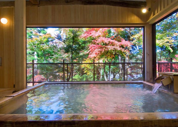 4 Choice Hotels in Nikko Offering Great Experiences on a Budget