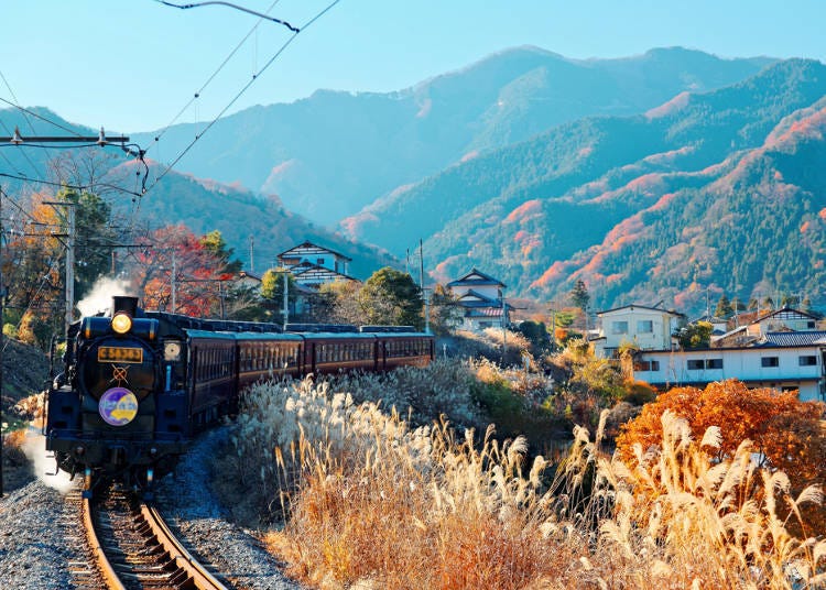 นั่งรถจักรไอน้ำบนเส้นทางรถไฟจิจิบุ! ซึ่งคนรักรถไฟไม่ควรพลาด!