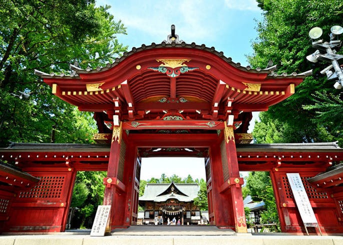 秩父哪里好玩 秩父全区导览 经典景点总览 Live Japan 日本的旅行 旅游 体验向导