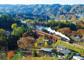 週末に行きたい秩父おすすめ観光スポット4選！ スリル満点ラインくだりから人気の絶景SLまで