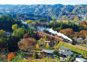 4 Recommended Chichibu Sightseeing Spots for Weekend Getaways